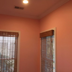 Photo of Reginaldo Painting