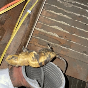Photo of Done right insulation service