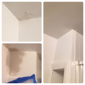 College Park C&V Renovations