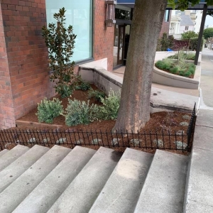 Photo of Sanchez Brothers Landscaping - Bay Area Landscape Design