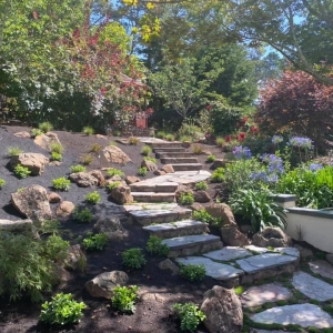 Photo of Sanchez Brothers Landscaping - Bay Area Landscape Design