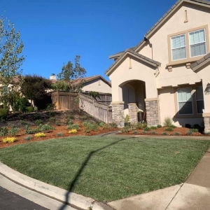 Photo of Sanchez Brothers Landscaping - Bay Area Landscape Design