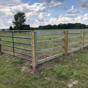 Photo of Lynn Rose Fence