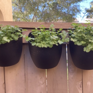 Photo of Julian's Gardening Services