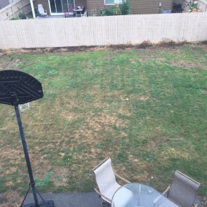 Photo of Rio's Lawn Care