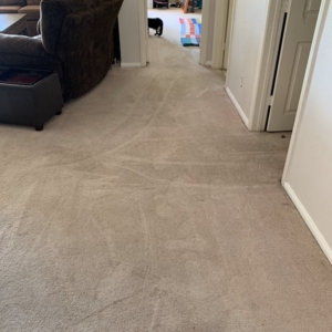 Photo of Kayla Woods Cleaning Service