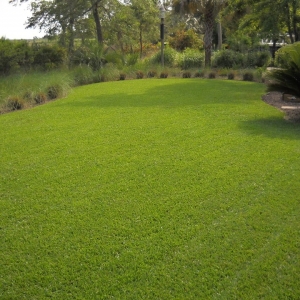 Photo of Pleasant Landscapes