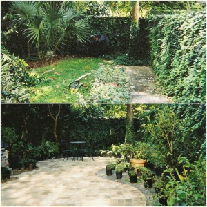Photo of Pleasant Landscapes