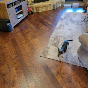 Photo of 3D Flooring & Design