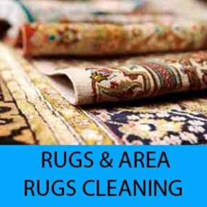 Photo of La Mesa Carpet Cleaning