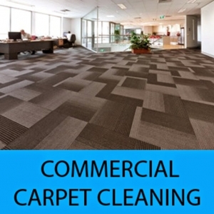 Photo of La Mesa Carpet Cleaning