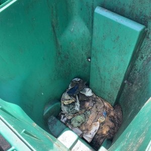Photo of The Bin Cleaners