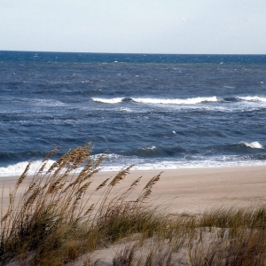 Photo of Great Hampton Roads Homes
