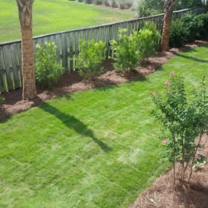 Photo of Curb Appeal Landscaping