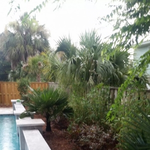 Photo of Curb Appeal Landscaping