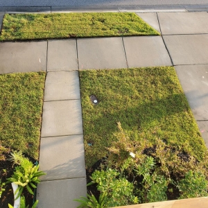 Photo of Curb Appeal Landscaping
