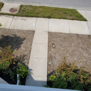 Photo of Curb Appeal Landscaping
