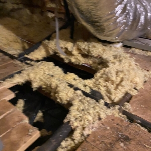 Photo of Apex Water Mitigation & Home Services