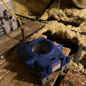 Photo of Apex Water Mitigation & Home Services