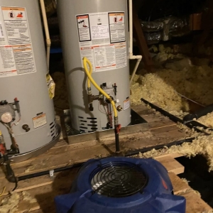 Photo of Apex Water Mitigation & Home Services