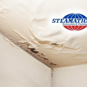 Photo of Brouwer Brothers Steamatic