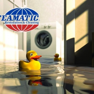 Photo of Brouwer Brothers Steamatic