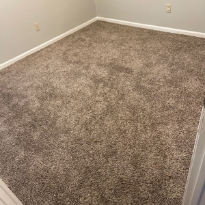 Photo of Precision Carpet