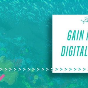 Photo of Shark Jockey Digital