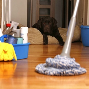 Photo of Mary's Professional Cleaning