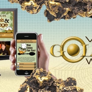 Photo of Virtual Goldmine Web Design