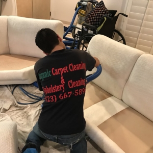 Photo of AB & B Organic Carpet Cleaning