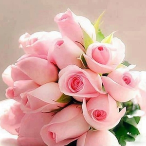 Photo of Floristería Los Ángeles