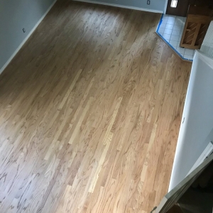 Photo of David Shafer Hardwood floors