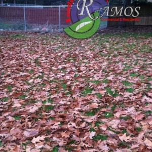 Seattle Ramos Landscaping