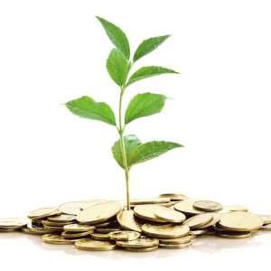 Photo of Seren Wealth Advisors