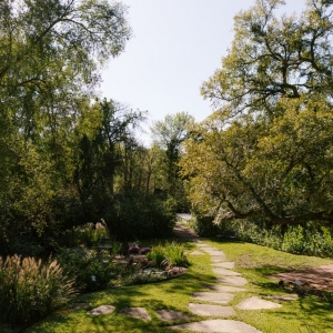 Photo of Weston Gardens In Bloom