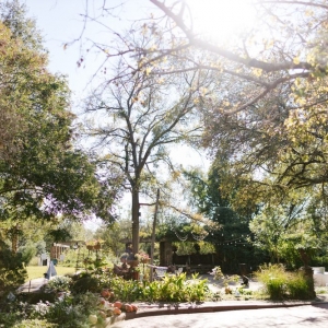 Photo of Weston Gardens In Bloom