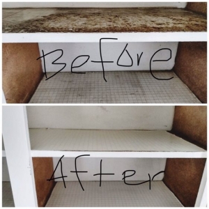 Photo of Maid For Us Commercial Cleaning