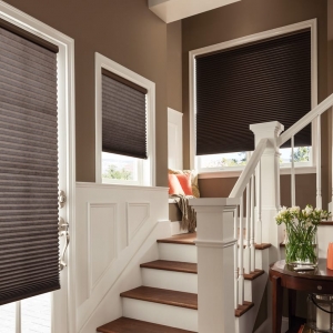 Photo of Mile High Blinds