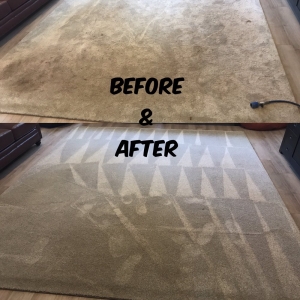 Photo of Vivo Carpet Cleaning
