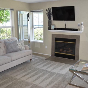Photo of Vivo Carpet Cleaning