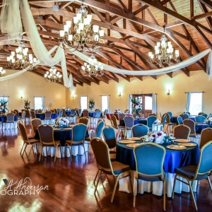 Photo of Dennis Vineyards