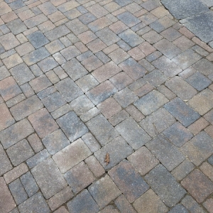 Photo of Paver Clean & Seal