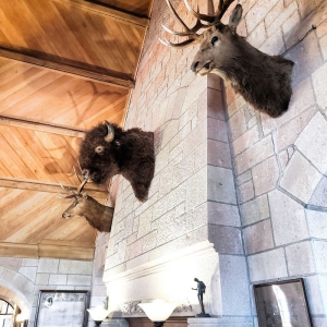 Photo of Cherokee Ranch & Castle