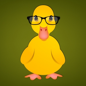 Photo of Office Ducks