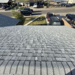 Phoenix LWB ROOFING