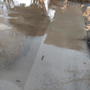 Photo of Spring Creek Exterior Services