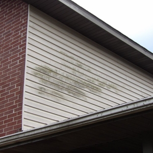 Photo of Spring Creek Exterior Services