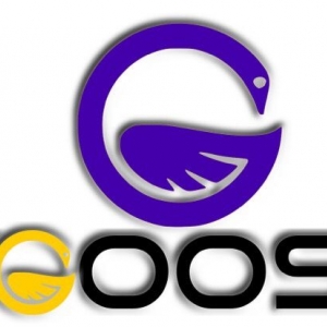 Photo of CyGoose IT