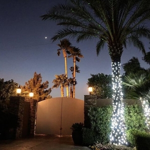 Photo of Rainbow Gardens